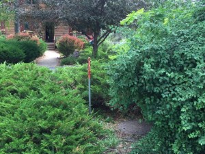 5703 Pioneer Circle - Bill & Tam Colson. Directly across driveway from front door next to yard hydrant is a manhole with three valves inside. Left valve is hydrant, center is house, right is irrigation system. No special tools required. 