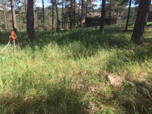 5803 Pioneer Circle – Dick & Rosemary Knecht Hydrant is 100 feet northwest of garage. Curb stop is under large rock just west of hydrant (lower right in photo). 