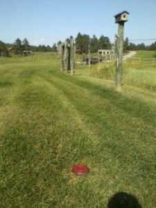 6003 Pioneer Circle - Jim and Marlys Marlow 15 yards west of driveway.