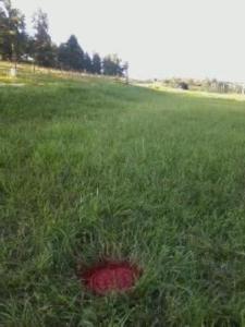 6007 Pioneer Circle - Connie Thomas 15 yards west of mailbox in ditch and painted red.