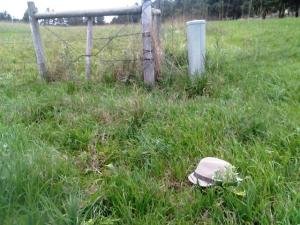 8008 Pathfinder Pl - Dan and Barb Gammeter Curb key access is located in SW corner by Elston's NW corner. 