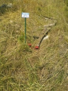 8207 Pioneer Circle - Bruce and Shellie Evans Located just before the left hand curve towards his home. On West side of driveway