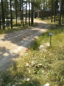 8306 Bighorn Rd - John A and Emily Samuelson On the west edge of the road and is bent over to the ground.