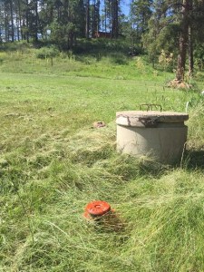 9458 Clarkson Road Dik & Geri Dahlquist Located in the meadow east of our house. I painted it bright orange to make it easy to see.